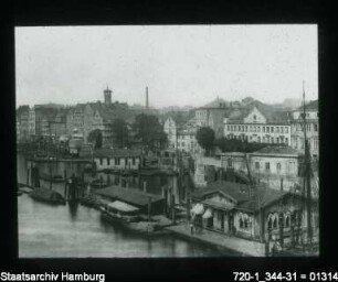 Baumwall (1870)