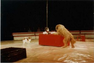 Circus Williams-Althoff Scott, Mannheim, 1990