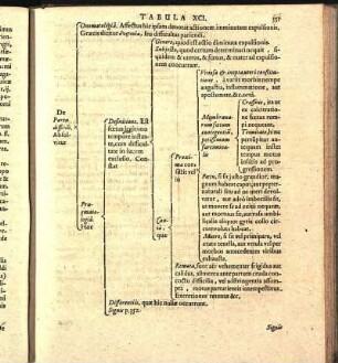 Tabula XCI.