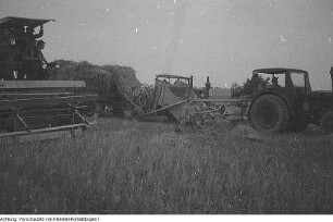 Ebersbach-Kalkreuth und Zabeltitz-Stroga. Getreide, Ernte, Juli 1953