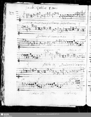 27 Iacobus Gallus: Haec est dies quam fecit Dominus