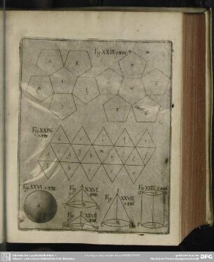 [Fig. XXIII-XXIX]
