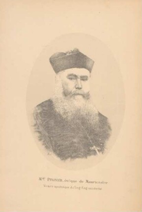 Mgr. Puginier, évêque de Mauricastre. Vicaire apostolique du Tong-King occidental