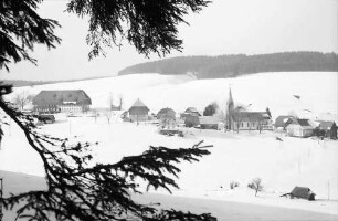 Waldau: Blick von der Höhe auf Waldau; Vordergrund Tannenast