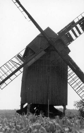 Lebusa. Bockmühle