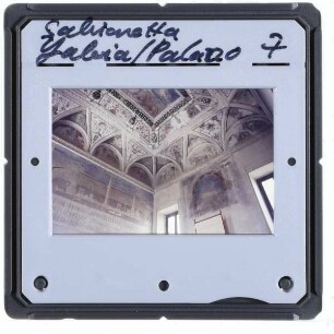 Sabbioneta, Palazzo del Giardino : Camera dei Cesari (?)