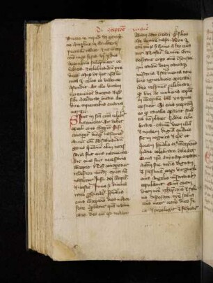 Sicut in sancta ecclesia celebratur nativitas sic debet excoli eius conceptio …