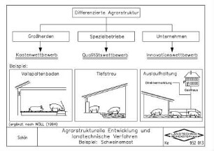Agrarstrukturelle Entwicklung und landtechnische Verfahren Beispiel: Schweinemast
