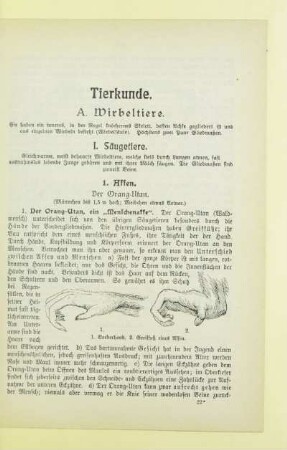 Tierkunde