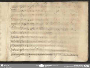 Quartetto: "Ben tornato caro sopso"