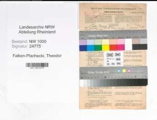 Entnazifizierung Theodor Von Falken-Plachecki, geb. 09.10.1898 (Kaufmaennischer Angestellter)