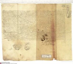 Eidesformel für Amand von Buseck, Bischof von Themiscyra, gewählter Bischof [und Abt] von Fulda. Amand gelobt Petrus, der Römischen Kirche, Papst ...