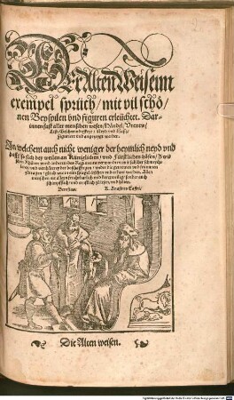 Der Alten Weisenn exempel sprüch : mit vil schönen Beyspilen und figuren erleuchtet, Darinnen fast aller menschen wesen, Händel, Untrew, ... Figuriert und angezeygt werden