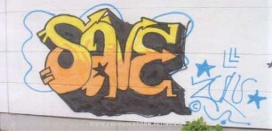 "SaVE