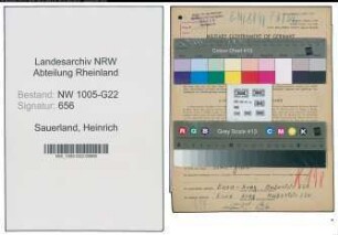 Entnazifizierung Heinrich Sauerland , geb. 03.01.1899 (Milchhandel)