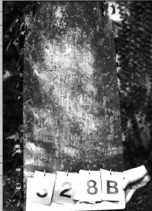 Grabstein 328 (Index: 100093117) Zustand: mit Efeu bewachsen Maße HxBxT: 167x39x25 cm: Grabstein 328B