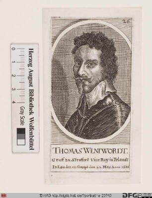 Bildnis Thomas Wentworth, 1640 1. Earl of Strafford