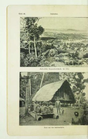 Australische Steppenlandschaft