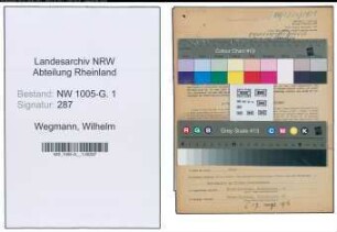 Entnazifizierung Wilhelm Wegmann , geb. 07.10.1910 (Landwirt)