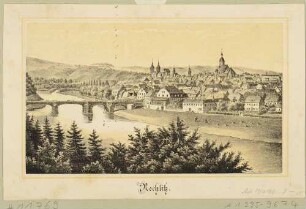 Rochlitz in Mittelsachsen an der Zwickauer Mulde, mit dem Schloss und der Petrikirche, Blick von Südosten