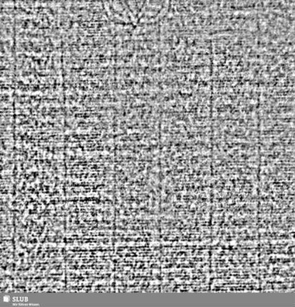 Lilie / CVC = S.7/8