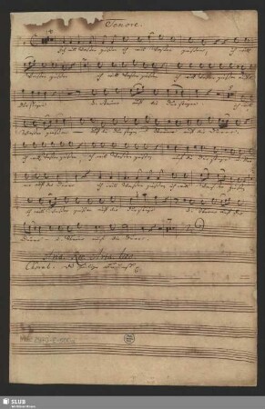 Tenore [solo + coro]
