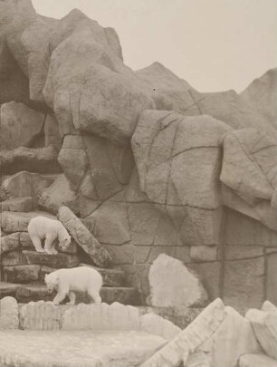 "Nordland-Panorama" in Carl Hagenbecks Tierpark, Stellingen