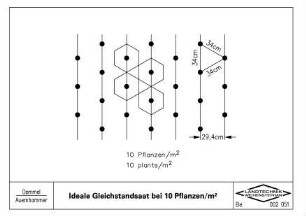 Ideale Gleichstandsaat bei 10 Pflanzen/qm