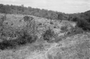 Landschaft : Blick über einen neu gerodeten Hang bei Dodoma.