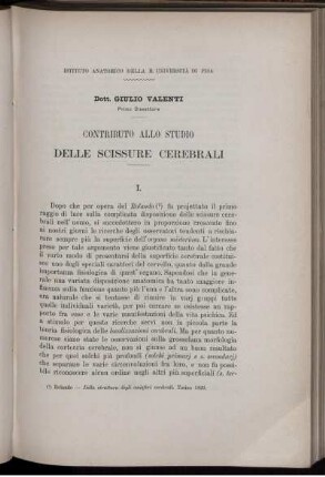 Contributo Allo Studio Delle Scissure Cerebrali