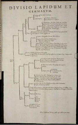 Divisio Lapidum Et Gemmarum. Haec Tabula ad fol. 15. post cap. I. lib. I. pertinet.