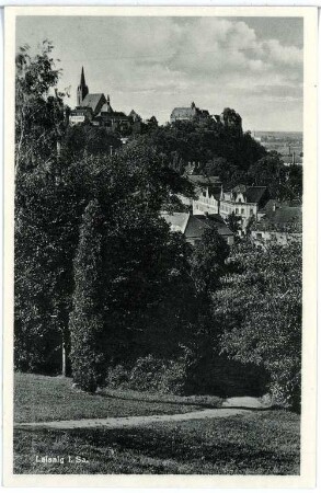 Leisnig. Blick auf Leisnig
