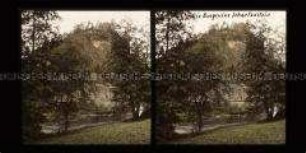 Brücke über Fluss und Burgruine Schaffenstein