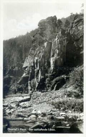 Ansicht des Felsens "Der schlafende Löwe" im Okertal im Harz