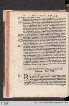 Cap. VII