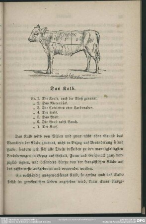 Das Kalb