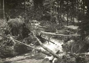Dresdner Heide. Zerstörungen an der Prießnitz nach einer Hochflut im Juli 1926