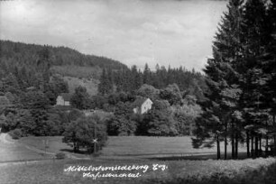 Blick zum Haselbachtal mit Neubert-Schneidmühle : Zwischen Baumreihe und Gebäuden fließt die Preßnitz