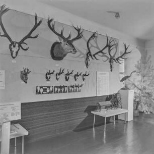 Ausstellung Kamenz