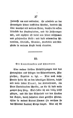 10. Die Turteltauben und Charmant.