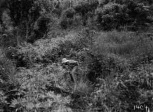 Im Gebüsch : Ein Expeditionsmitglied greift in ein Gebüsch.