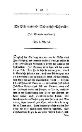 ¬Die¬ Salagane oder Indianische Schwalbe : (Lat. Hirundo esculenta) ; (Taf. I, Fig. 5)