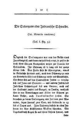 ¬Die¬ Salagane oder Indianische Schwalbe : (Lat. Hirundo esculenta) ; (Taf. I, Fig. 5)