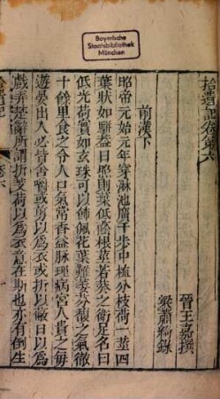 Bi shu nian ba zhong. 6, Di 6 ce : Shi yi ji : 6 ben