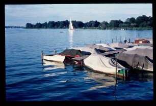 Havel/Saatwinkel 14.8.65.