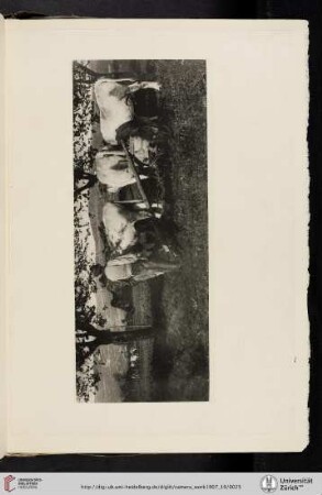 [James Craig Annan, V. Ploughing Team, photogravure