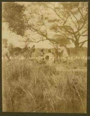 Afrikanische Träger bei einer Rast unter Bäumen