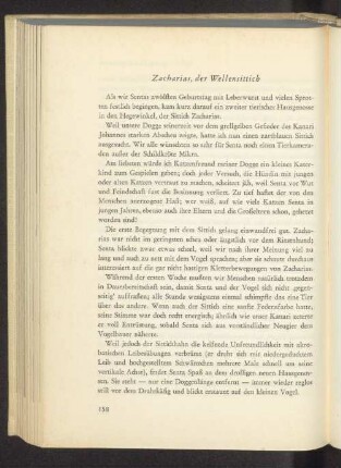 Zacharias, der Wellensittich