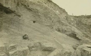 Kiesgrube Dölzschen : Dresden-Dölzschen. Nordwand der Kiesgrube