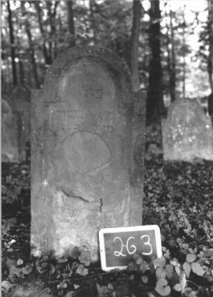 Grabstein 263 (Index: 99894647) Material: Sandstein Zustand: größtenteils abgeblättert Maße HxBxT: 94x46x6 cm Beschreibung: Stele mit eingezogenem Rundbogenabschluss Symbolik: Kanne: Grabstein 263